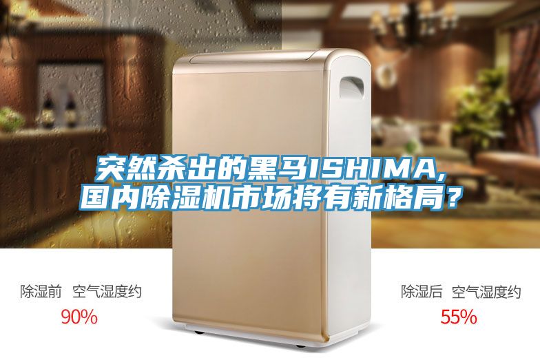 突然殺出的黑馬ISHIMA,國內(nèi)除濕機(jī)市場將有新格局？