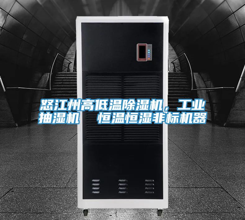 怒江州高低溫除濕機，工業(yè)抽濕機  恒溫恒濕非標機器