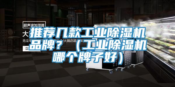 推薦幾款工業(yè)除濕機(jī)品牌？（工業(yè)除濕機(jī)哪個(gè)牌子好）