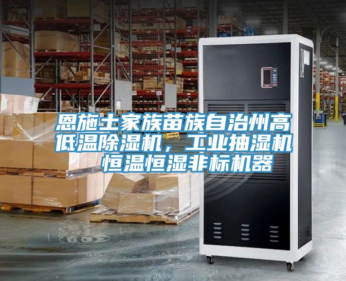 恩施土家族苗族自治州高低溫除濕機，工業(yè)抽濕機  恒溫恒濕非標(biāo)機器
