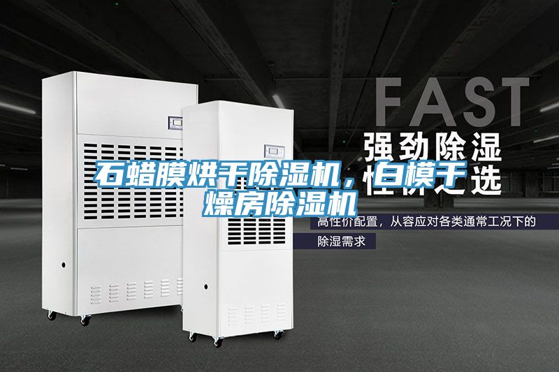 石蠟?zāi)ず娓沙凉駲C(jī)，白模干燥房除濕機(jī)