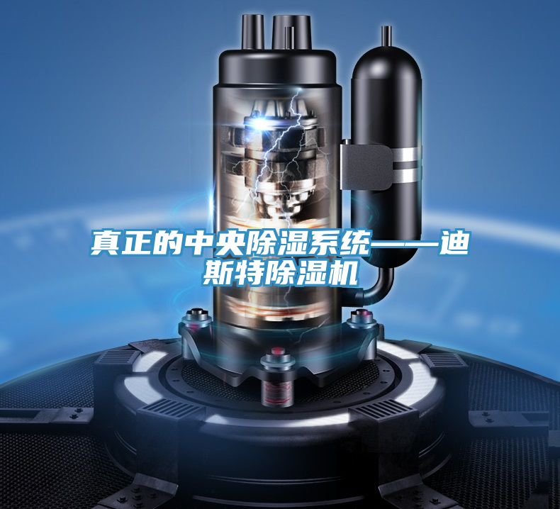 真正的中央除濕系統(tǒng)——迪斯特除濕機