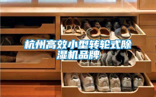 杭州高效小型轉(zhuǎn)輪式除濕機品牌
