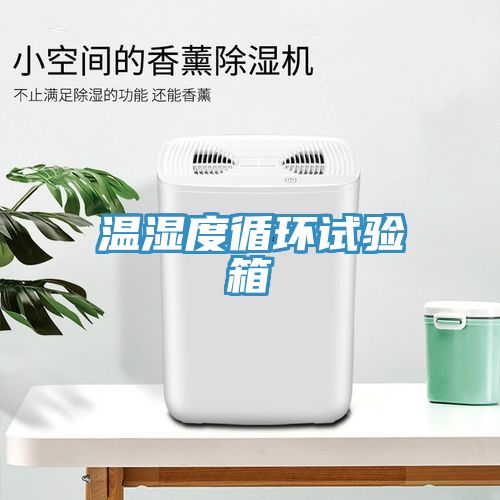 溫濕度循環(huán)試驗(yàn)箱