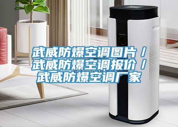 武威防爆空調(diào)圖片／武威防爆空調(diào)報(bào)價(jià)／武威防爆空調(diào)廠家