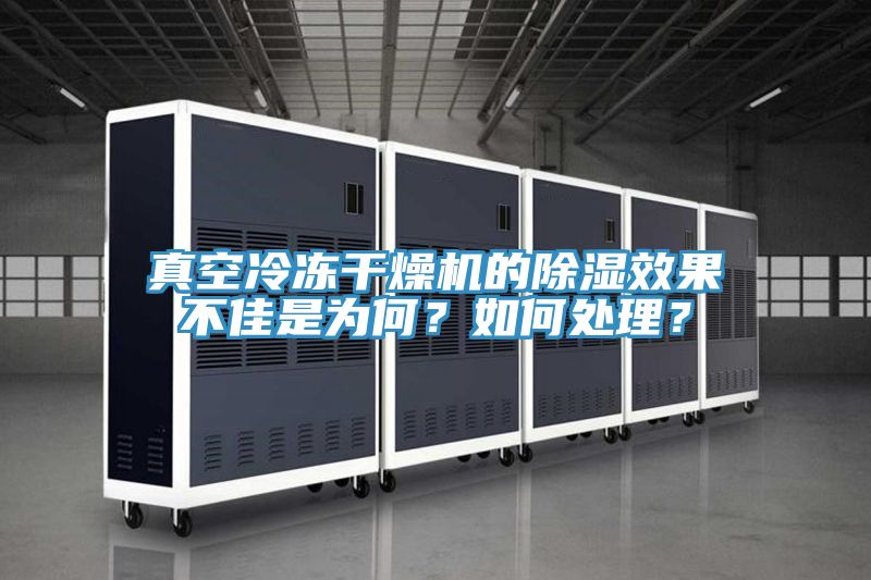真空冷凍干燥機的除濕效果不佳是為何？如何處理？