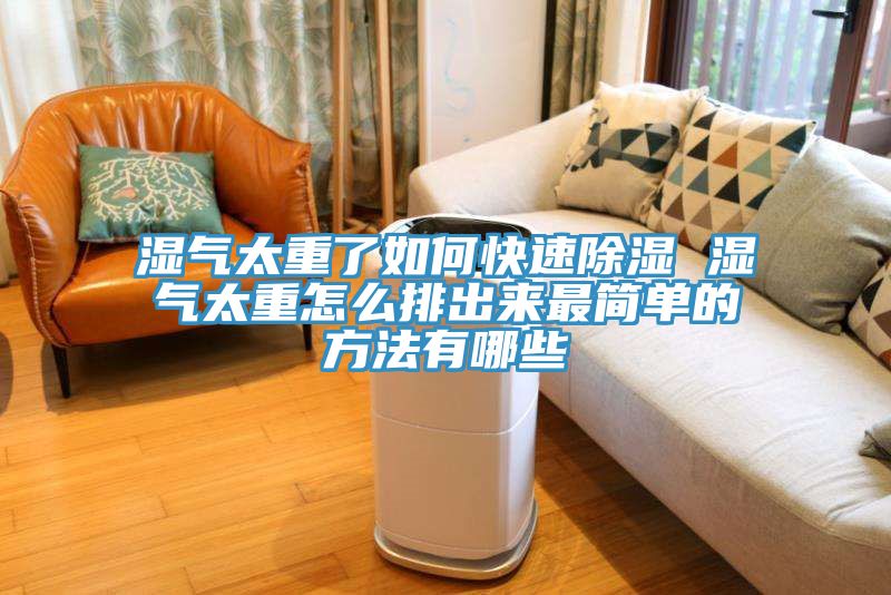 濕氣太重了如何快速除濕 濕氣太重怎么排出來最簡(jiǎn)單的方法有哪些