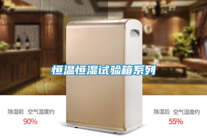 恒溫恒濕試驗(yàn)箱系列