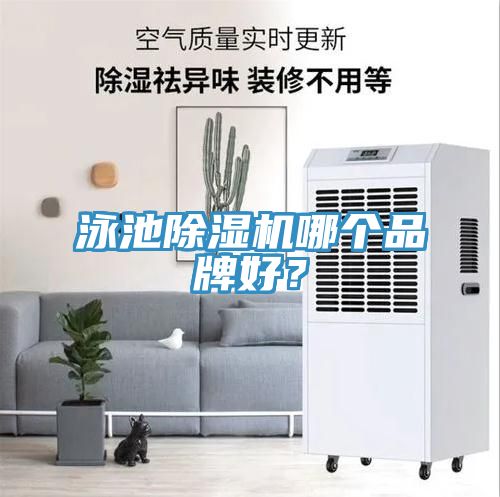 泳池除濕機哪個品牌好？