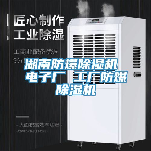 湖南防爆除濕機 電子廠 工廠防爆除濕機