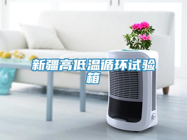 新疆高低溫循環(huán)試驗箱