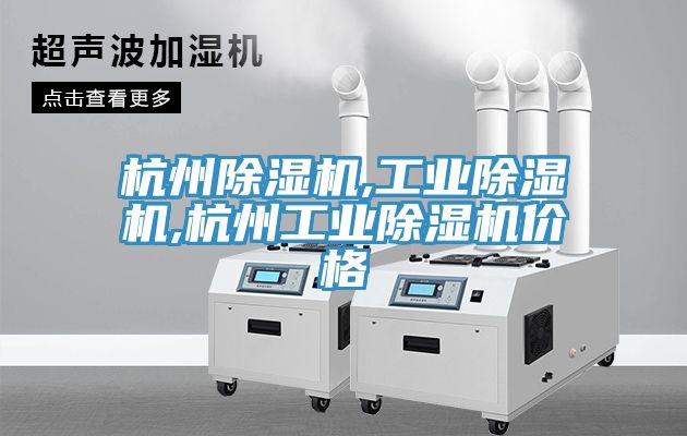 杭州除濕機,工業(yè)除濕機,杭州工業(yè)除濕機價格