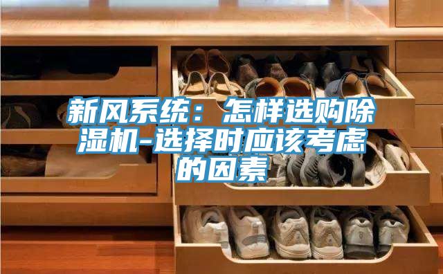 新風(fēng)系統(tǒng)：怎樣選購除濕機-選擇時應(yīng)該考慮的因素