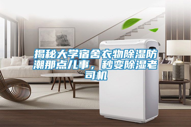 揭秘大學(xué)宿舍衣物除濕防潮那點(diǎn)兒事，秒變除濕老司機(jī)