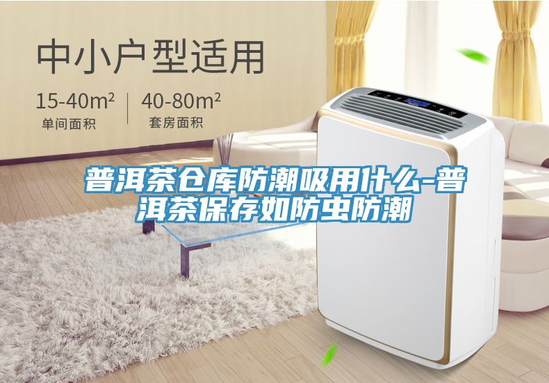 普洱茶倉庫防潮吸用什么-普洱茶保存如防蟲防潮