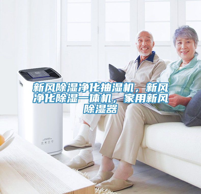 新風除濕凈化抽濕機，新風凈化除濕一體機，家用新風除濕器