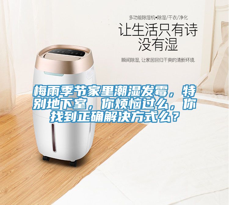 梅雨季節(jié)家里潮濕發(fā)霉，特別地下室，你煩惱過么，你找到正確解決方式么？