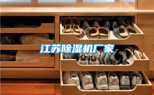 江蘇除濕機(jī)廠家
