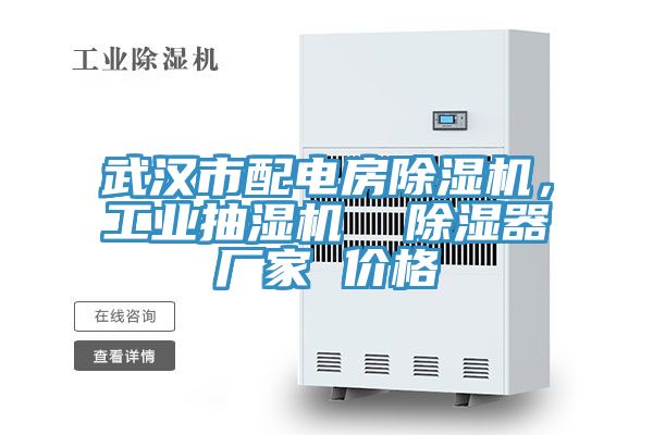 武漢市配電房除濕機(jī)，工業(yè)抽濕機(jī)  除濕器廠家 價(jià)格
