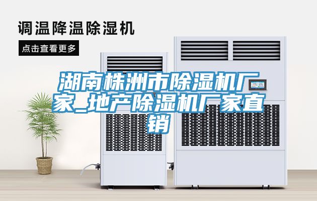 湖南株洲市除濕機廠家_地產(chǎn)除濕機廠家直銷