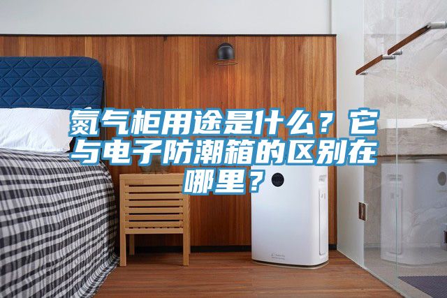 氮?dú)夤裼猛臼鞘裁?？它與電子防潮箱的區(qū)別在哪里？