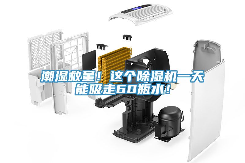 潮濕救星！這個除濕機一天能吸走60瓶水！