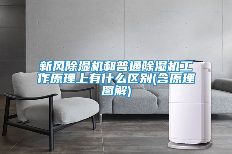 新風(fēng)除濕機(jī)和普通除濕機(jī)工作原理上有什么區(qū)別(含原理圖解)