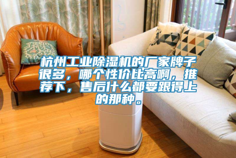 杭州工業(yè)除濕機(jī)的廠家牌子很多，哪個(gè)性價(jià)比高啊，推薦下，售后什么都要跟得上的那種。