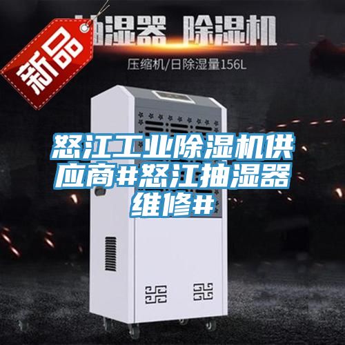 怒江工業(yè)除濕機供應(yīng)商#怒江抽濕器維修#