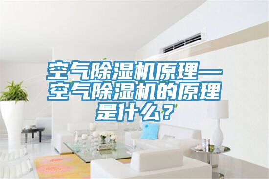 空氣除濕機原理—空氣除濕機的原理是什么？