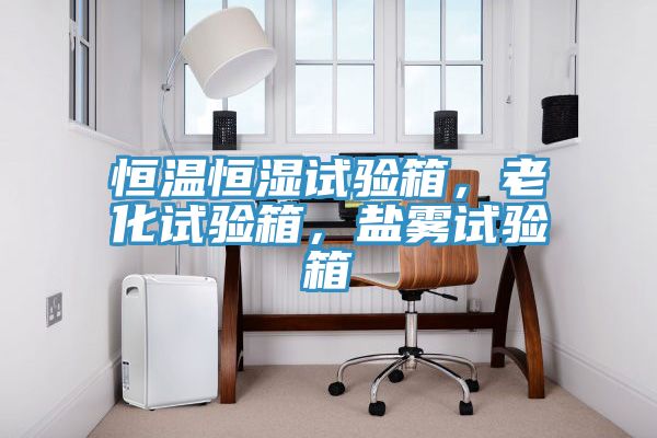 恒溫恒濕試驗箱，老化試驗箱，鹽霧試驗箱