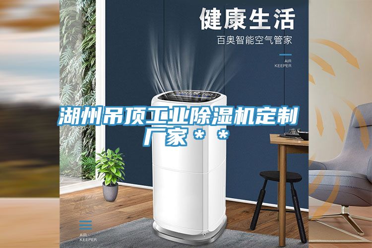 湖州吊頂工業(yè)除濕機定制 廠家＊＊