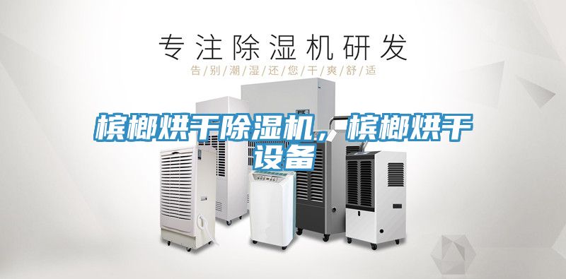 檳榔烘干除濕機(jī)，檳榔烘干設(shè)備