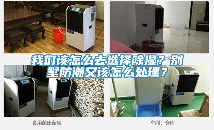 我們?cè)撛趺慈ミx擇除濕？別墅防潮又該怎么處理？