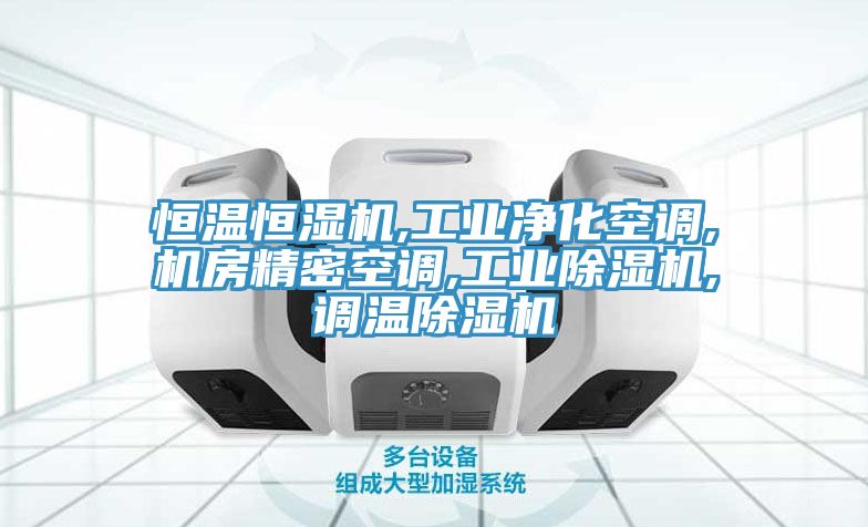 恒溫恒濕機,工業(yè)凈化空調(diào),機房精密空調(diào),工業(yè)除濕機,調(diào)溫除濕機