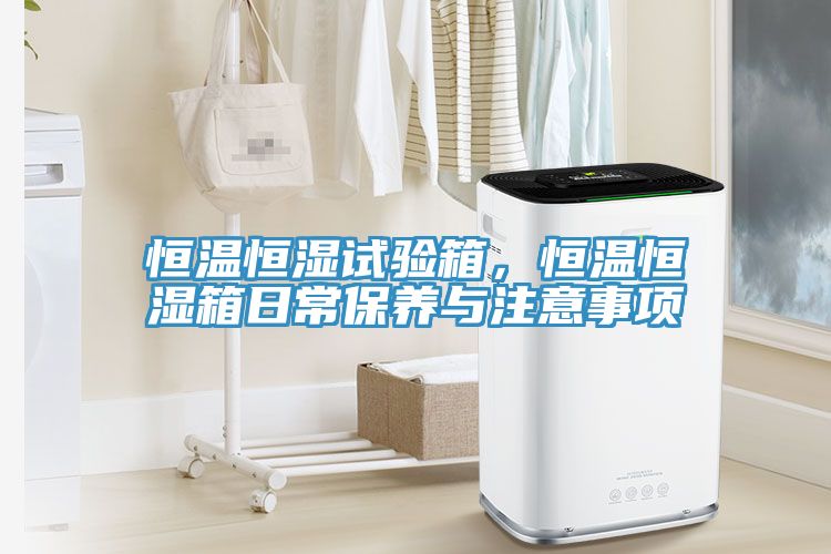 恒溫恒濕試驗箱，恒溫恒濕箱日常保養(yǎng)與注意事項