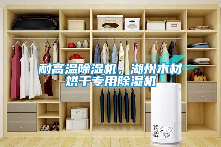 耐高溫除濕機(jī)，湖州木材烘干專用除濕機(jī)