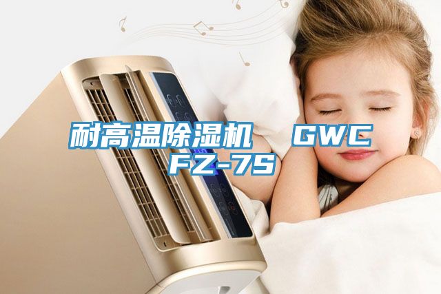 耐高溫除濕機(jī)  GWCFZ-7S