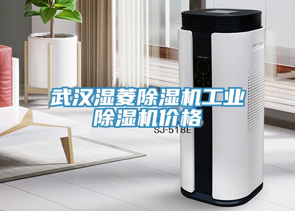 武漢濕菱除濕機(jī)工業(yè)除濕機(jī)價(jià)格