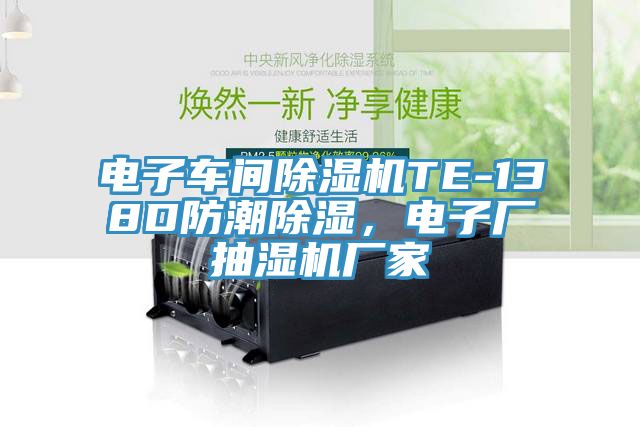 電子車間除濕機TE-138D防潮除濕，電子廠抽濕機廠家