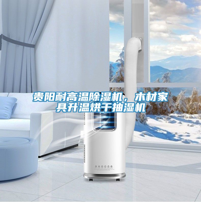 貴陽耐高溫除濕機(jī)，木材家具升溫烘干抽濕機(jī)