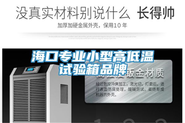 ?？趯I(yè)小型高低溫試驗(yàn)箱品牌