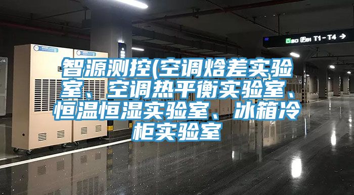 智源測控(空調(diào)焓差實驗室、空調(diào)熱平衡實驗室、恒溫恒濕實驗室、冰箱冷柜實驗室