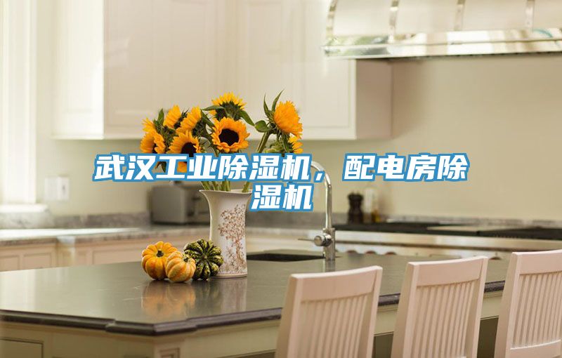 武漢工業(yè)除濕機(jī)，配電房除濕機(jī)