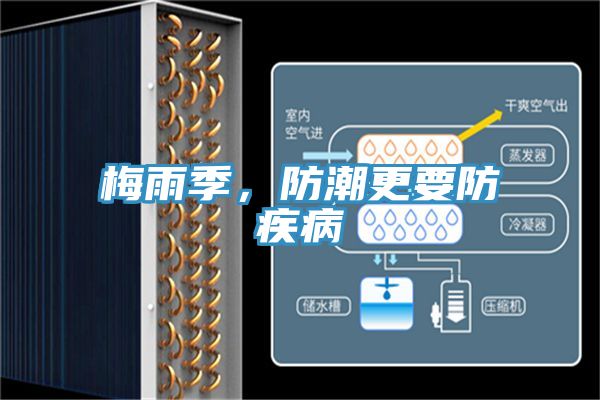 梅雨季，防潮更要防疾病