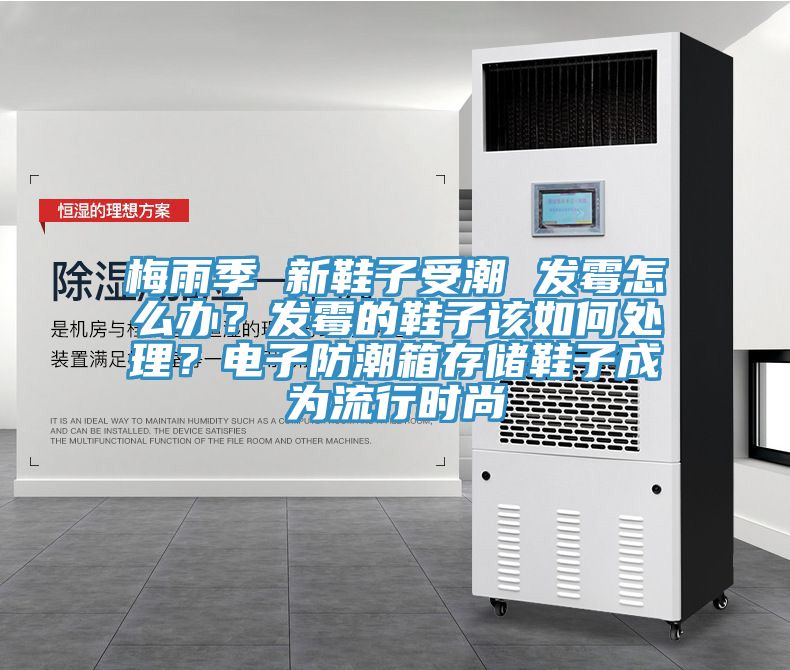 梅雨季 新鞋子受潮 發(fā)霉怎么辦？發(fā)霉的鞋子該如何處理？電子防潮箱存儲鞋子成為流行時尚