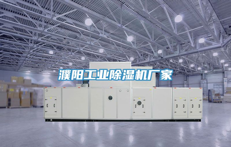 濮陽工業(yè)除濕機廠家