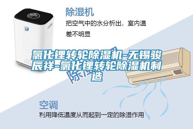 氯化鋰轉輪除濕機-無錫駿辰祥-氯化鋰轉輪除濕機制造