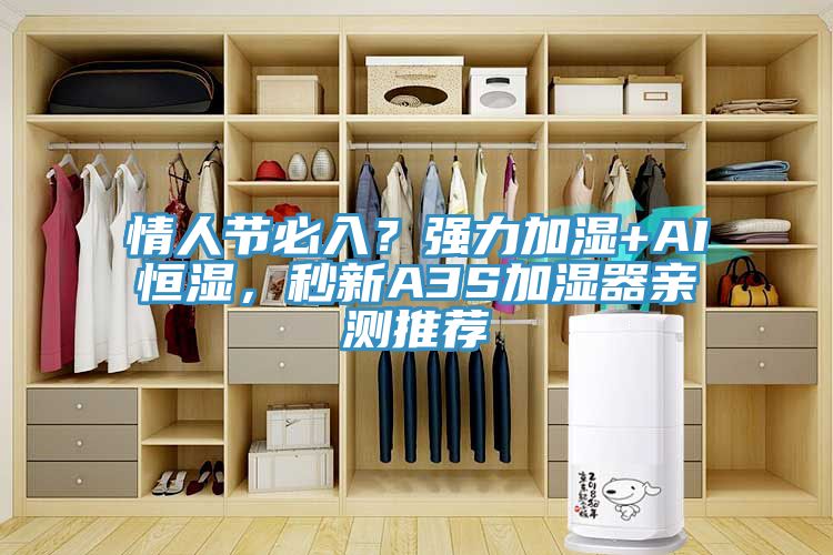情人節(jié)必入？強力加濕+AI恒濕，秒新A3S加濕器親測推薦