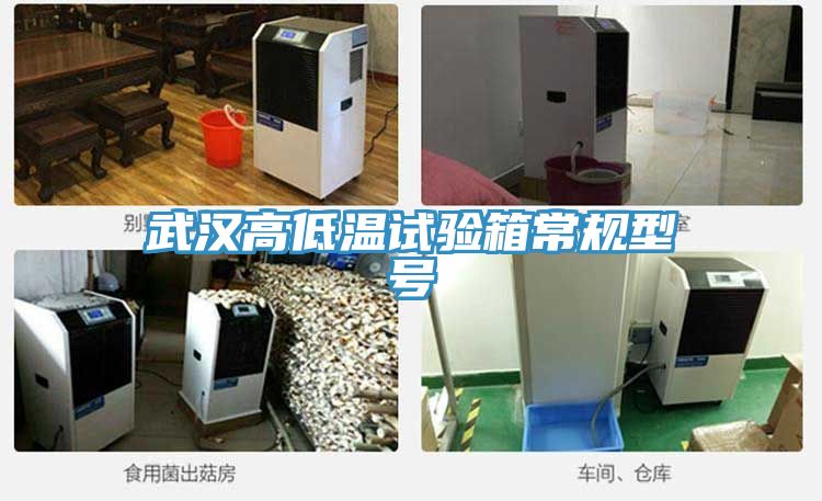 武漢高低溫試驗箱常規(guī)型號